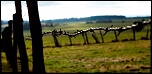 -img_0659-1-1.jpg