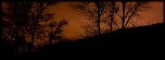 -img_0316-copie-1.jpg