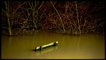 -img_0313-1.jpg