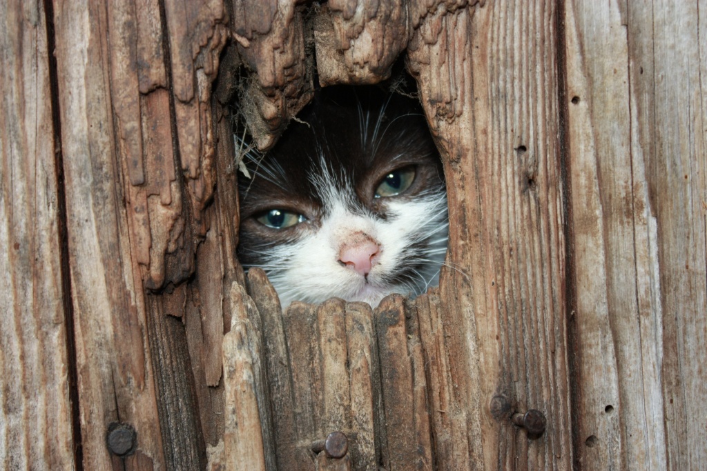 Et un de plus...-img_4490.jpg