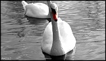 Et un de plus...-copie-de-img_6119.jpg