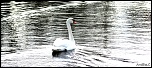 Et un de plus...-img_6128.jpg