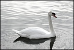 Et un de plus...-copie-de-img_6126.jpg