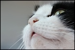 Et un de plus...-img_6488.jpg