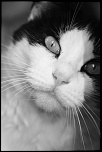 Et un de plus...-img_6504.jpg