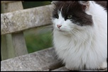Et un de plus...-img_4708.jpg