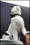 Et un de plus...-img_4434.jpg