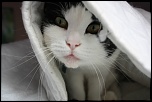 Et un de plus...-img_4431.jpg