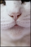 Et un de plus...-img_6486.jpg