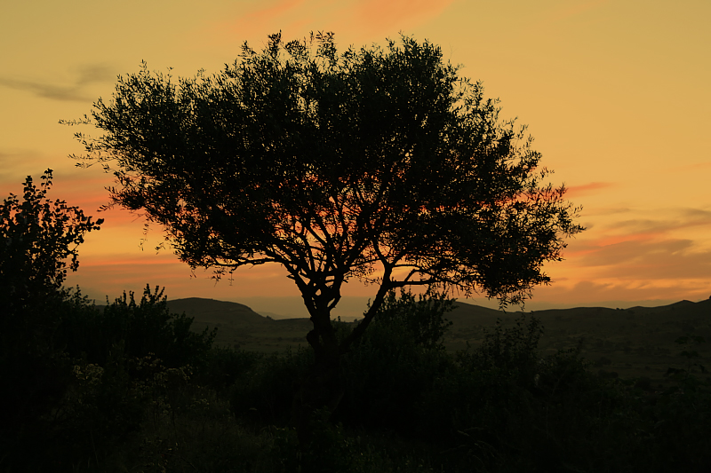 Salut-img_6112.jpg