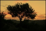 Salut-img_6112.jpg