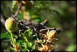 -img_3005.jpg