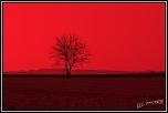 -20090908_25.jpg