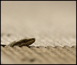 -img_3690_web.jpg