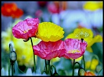-img_3706_web.jpg