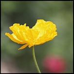 -img_3700_web.jpg