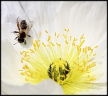 -img_3695_web.jpg