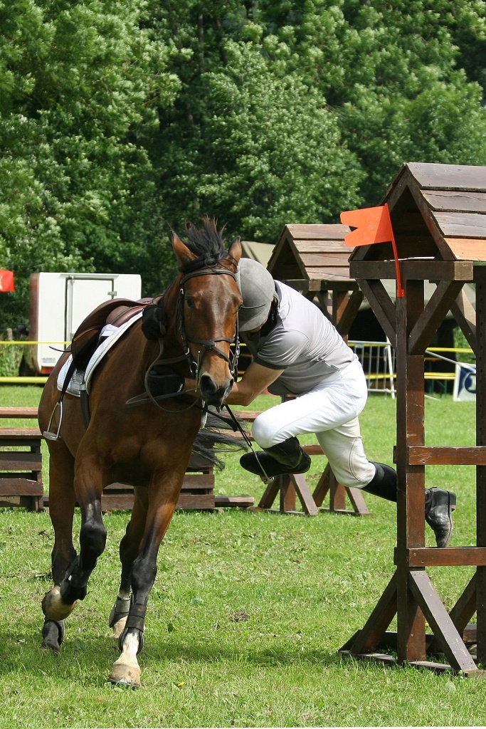 CSO CHOIGNES   42