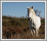 IMG 005030