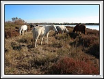 IMG 005021