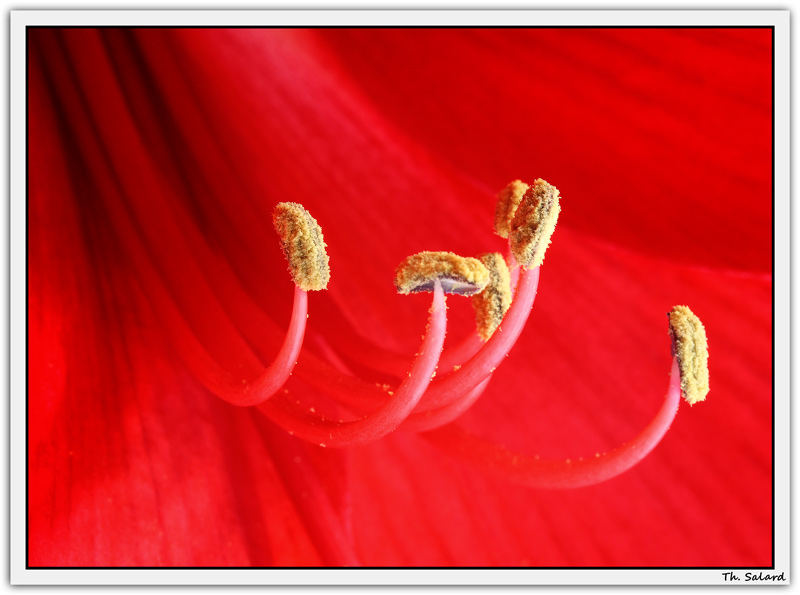 CAD BD IMG 004482