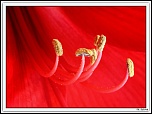 CAD BD IMG 004482