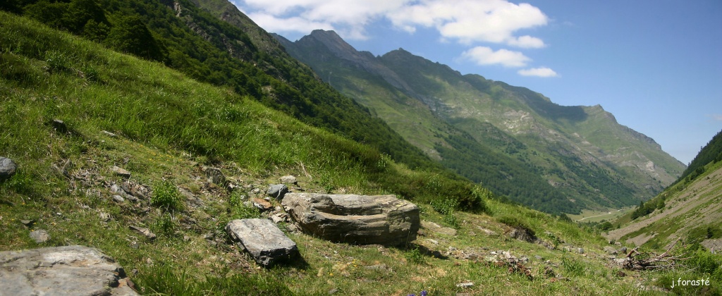 Pyrnes