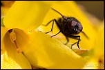 trepied?-img_2421.jpg
