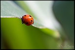 trepied?-img_2463.jpg