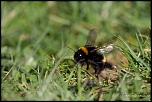 trepied?-img_2446.jpg