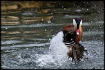 microdrive 2,2 Go-2011_01_14_5622_pn.jpg