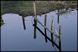 IMG 0691