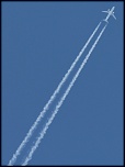 IMG 0448