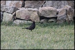 IMG 0344