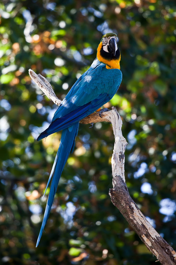 70-300 Sigma APO-_mg_4528.jpg