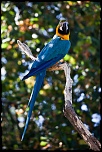 70-300 Sigma APO-_mg_4528.jpg