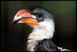 70-300 Sigma APO-_mg_4319.jpg