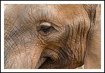 microdrive 2,2 Go-img_0905-modifier.jpg