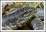 microdrive 2,2 Go-img_0807-modifier.jpg