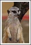 microdrive 2,2 Go-img_0919-modifier.jpg