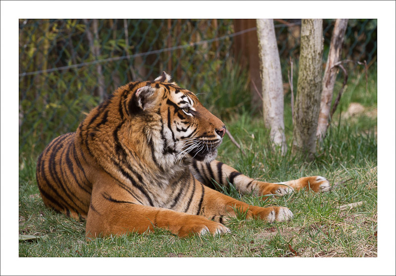 microdrive 2,2 Go-img_0929-modifier.jpg