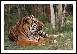 microdrive 2,2 Go-img_0929-modifier.jpg