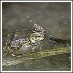 microdrive 2,2 Go-img_0805-modifier.jpg