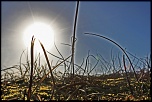 Choix de sacs-mousse-au-soleil.jpg