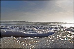 Choix de sacs-mousse-de-mer.jpg