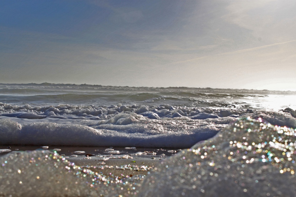 Choix de sacs-mousse-de-mer.jpg