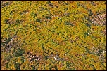 Choix de sacs-mousse-de-terre.jpg