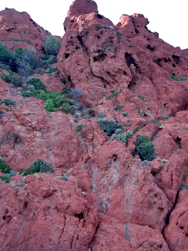 Choix de sacs-rocher-rose.jpg