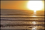 Choix de sacs-les-bernaches-au-pays-du-soleil-levant.jpg