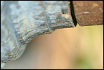 microdrive 2,2 Go-img_5888.jpg